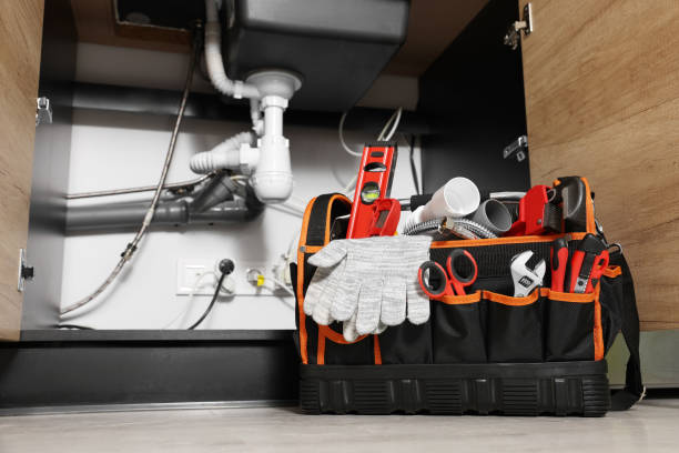 Best Toilet Repair Services  in Spring Green, WI