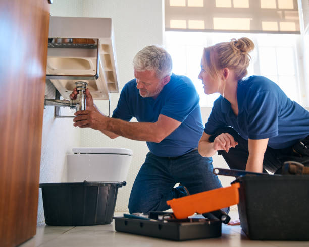 Best Leak Detection Services  in Spring Green, WI